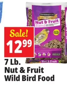 Ocean State Job Lot Pennington Ultimate Nut & Fruit Blend Wild Bird Seed 7 lbs offer
