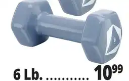 Ocean State Job Lot 6 lb Vinyl Coated Dumbbell offer
