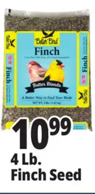 Ocean State Job Lot 4 Lb. Finch Seed offer