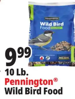 Ocean State Job Lot Pennington Wild Bird Food 10 lbs offer