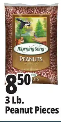 Ocean State Job Lot Audubon Peanut Pieces Bird Seed 3lb offer