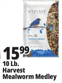 Ocean State Job Lot Harvest Seed & Supply Mealworm Medley Wild Bird Food 10 lb offer