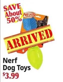 Ocean State Job Lot Dog Toys offer