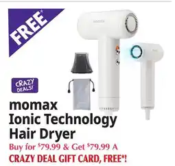 Ocean State Job Lot Ionic Technology Hair Dryer offer