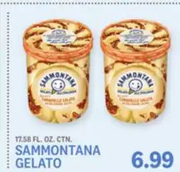 Kings Food Markets SAMMONTANA GELATO offer