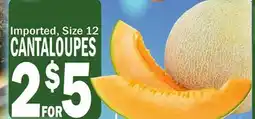 C Town CANTALOUPES offer