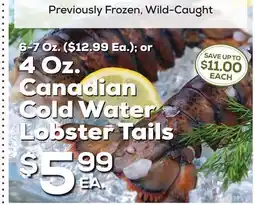 DeCicco & Sons Canadian Cold Water Lobster Tails offer