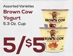 DeCicco & Sons Brown Cow Yogurt offer