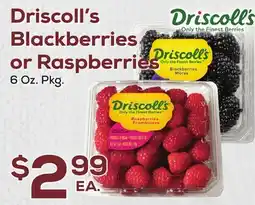 DeCicco & Sons Driscoll's Blackberries or Raspberries offer