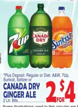 Bravo Supermarkets CANADA DRY GINGER ALE offer