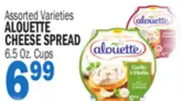 Bravo Supermarkets ALOUETTE CHEESE SPREAD offer