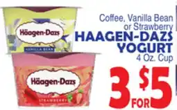 Bravo Supermarkets HAAGEN-DAZS YOGURT offer