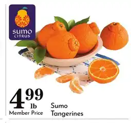 Pavilions Sumo Tangerines offer