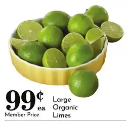 Pavilions Large Organic Limes offer