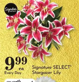 Pavilions Signature SELECT Stargazer Lily offer