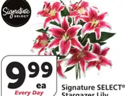 Vons Signature SELECT Stargazer Lily offer
