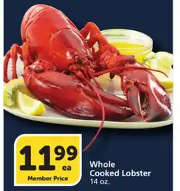 Albertsons Whole Cooked Lobster offer
