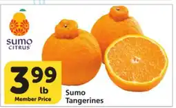 Albertsons Sumo Tangerines offer