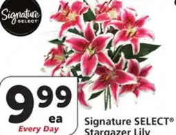 Albertsons Signature SELECT Stargazer Lily offer
