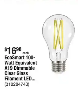The Home Depot EcoSmart 100-Watt Equivalent A19 Dimmable Clear Glass Filament LED Light Bulb Daylight (4-Pack) offer