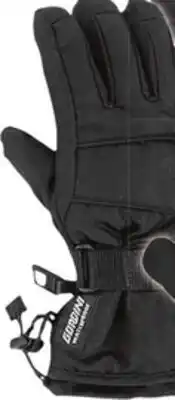 Big 5 Gordini Women's Ultra Dri-Max Snow Gloves offer