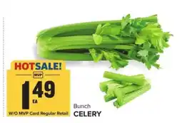 Food Lion Celery offer