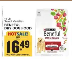 Food Lion Beneful Dry Dog Food offer