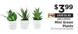 ShopRite Mini Green Plants offer