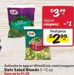 Winn Dixie Dole Salad Blends offer