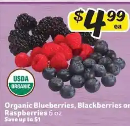 Winn Dixie Organic Blueberries, Blackberries or Raspberries offer