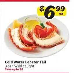 Winn Dixie Cold Water Lobster Tail offer