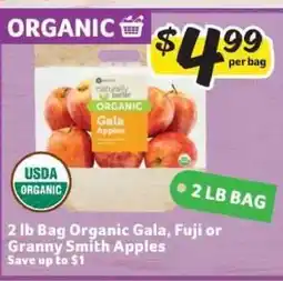 Winn Dixie Organic Apples offer