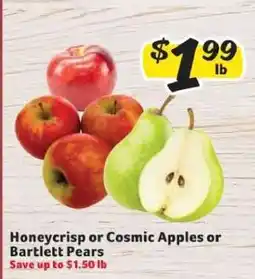 Winn Dixie Honeycrisp or Cosmic Apples or Bartlett Pears offer