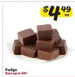 Winn Dixie Fudge offer