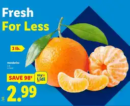 Lidl Mandarins offer