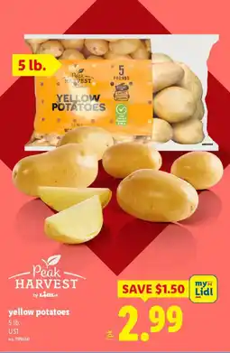 Lidl Yellow potatoes offer