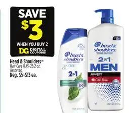 Dollar General Head & Shoulders Hair Care offer