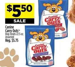 Dollar General Canine Carry Outs Dog Treats offer