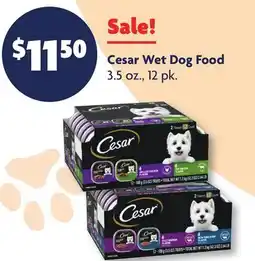 Family Dollar Cesar Wet Dog Food offer