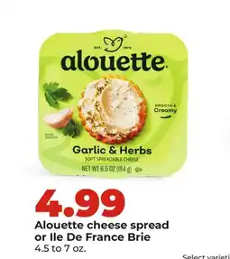 Hy-Vee Alouette cheese spread or Ile De France Brie offer