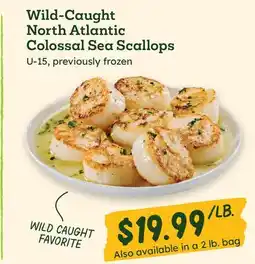 Sprouts Farmers Market Wild-Caught North Atlantic Colossal Sea Scallops offer