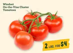 Sprouts Farmers Market Windset On-the-Vine Cluster Tomatoes offer