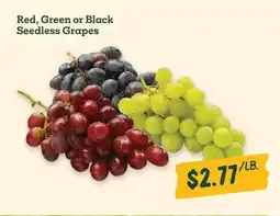Sprouts Farmers Market Red, Green or Black Seedless Grapes offer
