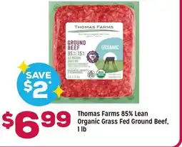 Grocery Outlet Thomas Farms 85% Lean Organic Grass Fed Ground Beef, 1 lb offer