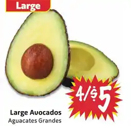 Foodmaxx Large Avocados offer