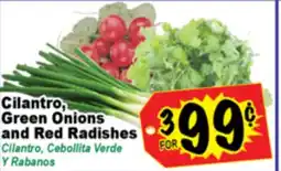 Superior Grocers Cilantro, Green Onions and Red Radishes offer