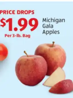 Aldi Michigan Gala Apples offer