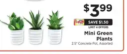 ShopRite Mini Green Plants offer