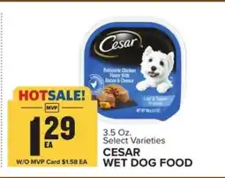Food Lion Cesar Wet Dog Food offer