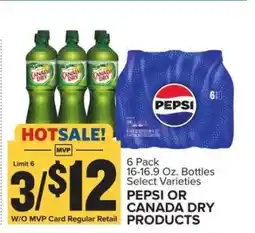Food Lion PEPSI OR CANADA DRY PRODUCTS offer
